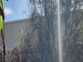 magnificentweatheradmire510