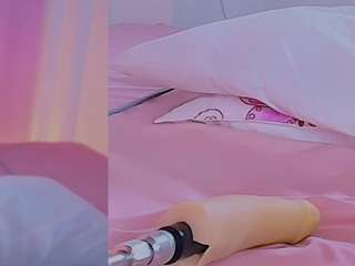 vaiolet-rose