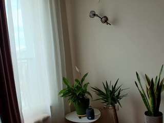 mirelasilver