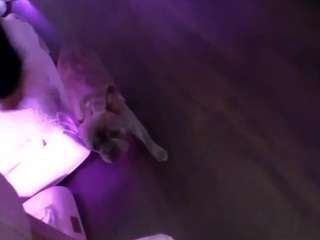 lillylox live cam