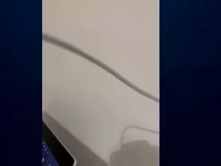 mustlover's Live Sex Cam Show