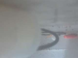 gezuz420