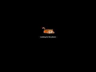 dirk-ding-dong webcam