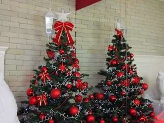 emillybronte myfreecams