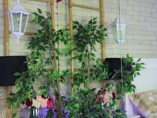 Emilly Bronte live cam