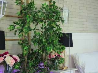 Live webcam model emillybronte on Soda Cams