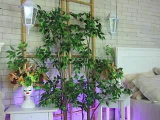 emillybronte live cam