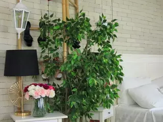 Emilly Bronte's Live Sex Cam Show