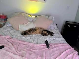 Live webcam model ahinoaa on Soda Cams