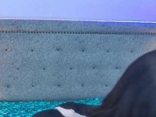  jackynorris chat room