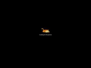 nidhilove webcam model
