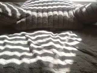 beautylovess