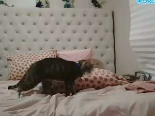 beautylovess