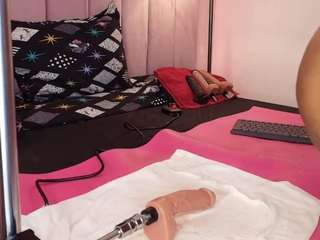 hallybans webcam