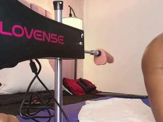 hallybans live cam profile