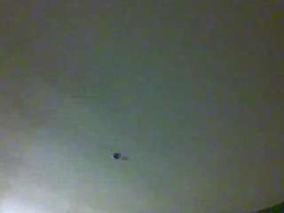 tiffanylee1 webcam