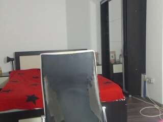 dedesibel1 webcam