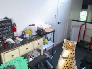 amandahugnkiss webcam model