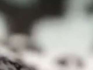 juicyboobies from CamSoda is Freechat