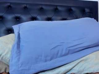 alika-shanty Live Webcam on CamSoda