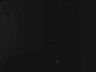 adhara webcam