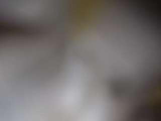 lucylucy223