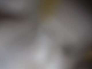 lucylucy223