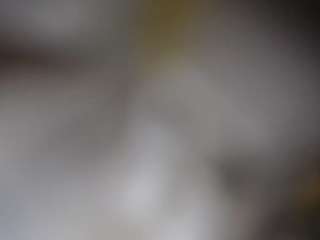 lucylucy223