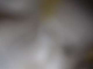 lucylucy223