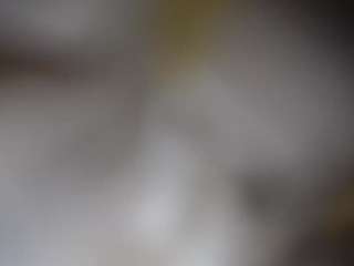 lucylucy223
