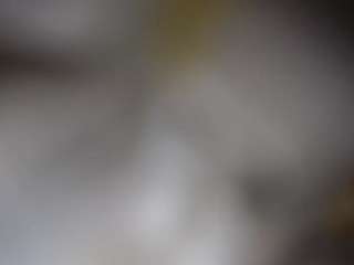 lucylucy223