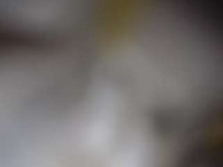 lucylucy223