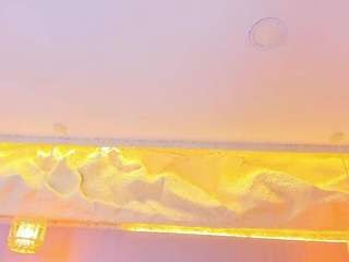 elizabeth-bree webcam