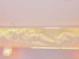 elizabeth-bree Sex Cam Show