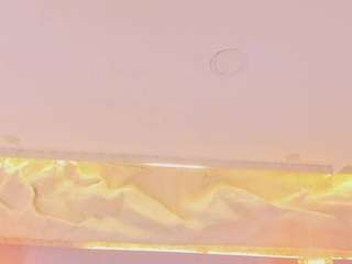 elizabeth-bree live webcam show