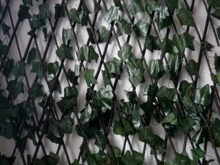 karoline1201 from CamSoda