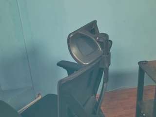 Ally live cam preview