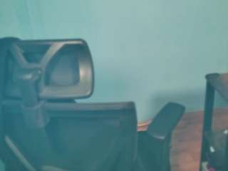 Ally live cam preview