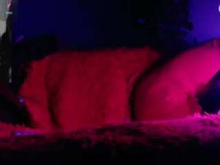 chubbypussycat