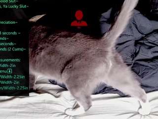 doomednympho's CamSoda show and profile