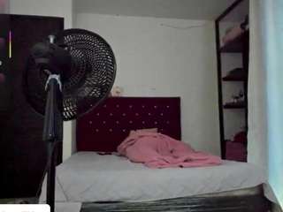 Sweedandreagil80's cam show statistics and live stream