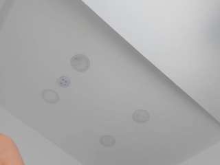 Live webcam model tamy-leen on Soda Cams