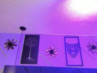  hottieminee chat room