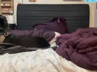 britneyjean81 webcam