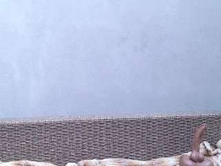 annieswan