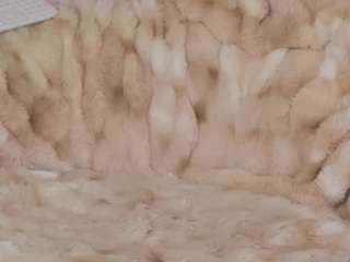 anaisbloom webcam