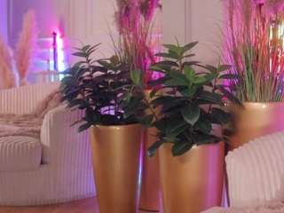AnaisBloom live webcam show