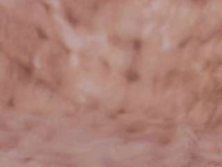 anaisbloom myfreecams