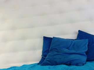 Karissia's cam show statistics and live stream