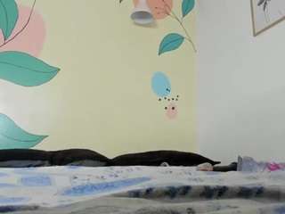 Alondra-zaens